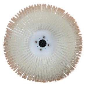 Zonnepaneel vervang borstel voor enkel/dubbele borstels